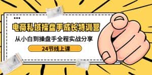 (8723期)电商私域-操盘手成长特训营:从小白到操盘手全程实战分享-24节线上课-优优云创网