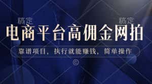 （8728期）电商平台高佣金网拍，靠谱项目，执行就能赚钱，简单操作-优优云创网