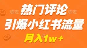 (8740期)热门评论引爆小红书流量,作品制作简单,广告接到手软,月入过万不是梦-优优云创网