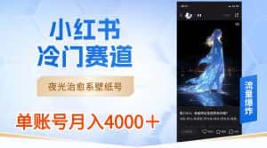 (8743期)小红书冷门赛道,夜光治愈系壁纸号,单号月入4000+-优优云创网