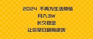 （8757期）2024不再为生活烦恼 月入3W 长久稳定 让你早日翻身逆袭-优优云创网