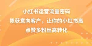 (8764期)小红书运营流量密码,揽获意向客户,让你的小红书高点赞多粉丝高转化-优优云创网