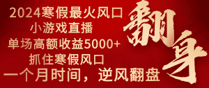 (8766期)2024年最火寒假风口项目 小游戏直播 单场收益5000+抓住风口 一个月直接提车-优优云创网