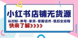 （8897期）小红书店铺无货源：从对标-养号-拿货-客服话术-售后全流程（20节课）-优优云创网