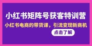 （8909期）小红书-矩阵号获客特训营-第10期，小红书电商的带货课，引流变现新商机-优优云创网