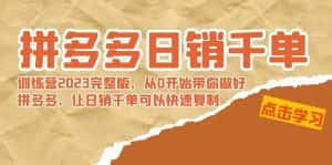 (8921期)拼多多日销千单训练营2023完整版,从0开始带你做好拼多多,让日销千单可…-优优云创网