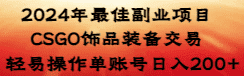 (8941期)2024年最佳副业项目 CSGO饰品装备交易 轻易操作单账号日入200+-优优云创网