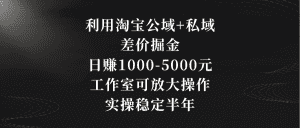 (8952期)利用淘宝公域+私域差价掘金,日赚1000-5000元,工作室可放大操作,实操…-优优云创网