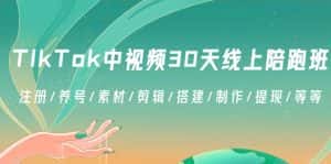 (8963期)TikTok中视频-30天线上陪跑班:注册/养号/素材/剪辑/搭建/制作/提现/等等-优优云创网