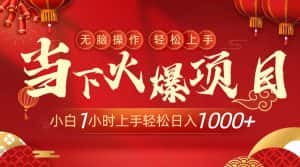 (8973期)当下火爆项目,操作简单,小白仅需1小时轻松上手日入1000+-优优云创网