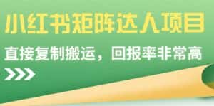 （9019期）小红书矩阵达人项目，直接复制搬运，回报率非常高-优优云创网