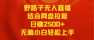 (9025期)无人直播野路子结合网盘拉新,日赚2500+多平台变现,小白无脑轻松上手操作-优优云创网