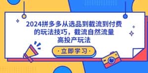 (9037期)2024拼多多从选品到截流到付费的玩法技巧,截流自然流量玩法,高投产玩法-优优云创网