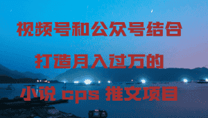 (9059期)视频号和公众号结合打造月入过万的小说cps推文项目-优优云创网