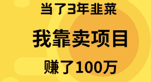 (9100期)当了3年韭菜,我靠卖项目赚了100万-优优云创网