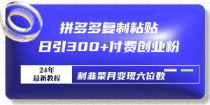 (9129期)拼多多复制粘贴日引300+付费创业粉,割韭菜月变现六位数最新教程!-优优云创网