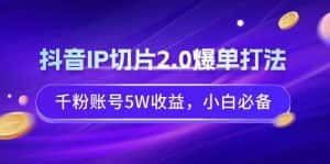 （9132期）抖音IP切片2.0爆单打法，千粉账号5W收益，小白必备-优优云创网