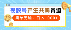 （9133期）2024年视频号，产生共鸣赛道，简单无脑，一分钟一条视频，日入1000+-优优云创网