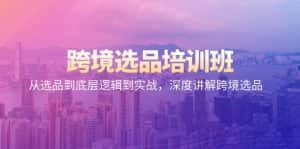 (9143期)跨境选品培训班:从选品到底层逻辑到实战,深度讲解跨境选品-优优云创网