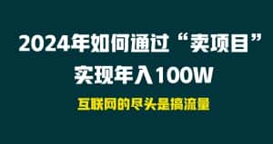 (9147期) 2024年如何通过“卖项目”实现年入100W-优优云创网