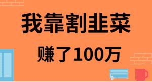 （9173期）我靠割韭菜赚了 100 万-优优云创网