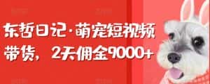 东哲日记·萌宠短视频带货,2天佣金9000+-优优云创网