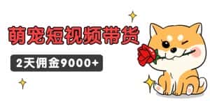 (9273期)东哲日记·萌宠短视频带货,2天佣金9000+-优优云创网
