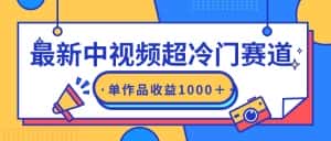 (9275期)最新中视频超冷门赛道,轻松过原创,单条视频收益1000+-优优云创网