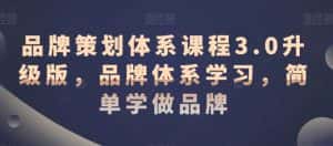 品牌策划体系课程3.0升级版,品牌体系学习,简单学做品牌-优优云创网