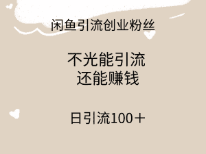 (9290期)闲鱼精准引流创业粉丝,日引流100+,引流过程还能赚钱-优优云创网