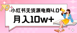 小红书新电商实战 无货源实操从0到1月入10w+ 联合抖音放大收益-优优云创网