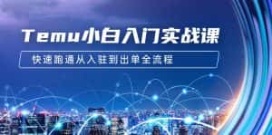 (9295期)Temu小白入门实战课:跨境拼多多电商培训 快速跑通从入驻到出单全流程-12节-优优云创网