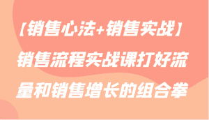 【销售心法+销售实战】销售流程实战课打好流量和销售增长的组合拳-优优云创网