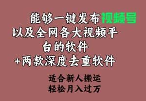 （9319期）能够一键发布视频号以及全网各大视频平台的软件+两款深度去重软件 适合…-优优云创网