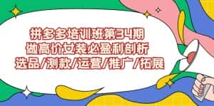 (9333期)拼多多培训班第34期:做高价女装必盈利剖析 选品/测款/运营/推广/拓展-优优云创网