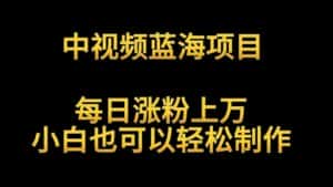 中视频蓝海项目,解读英雄人物生平,每日涨粉上万,小白也可以轻松制作,月入过万-优优云创网