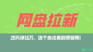 (9373期)网盘拉新+私域全自动玩法,0粉起号,小白可做,当天见收益,已测单日破5000-优优云创网