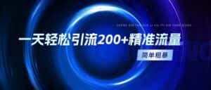（9359期）一天轻松引流200+精准流量，简单粗暴，一看就会-优优云创网