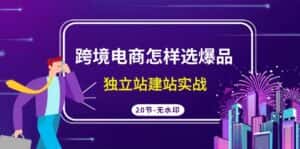跨境电商怎样选爆品,独立站建站实战(20节高清课)-优优云创网