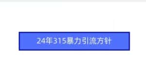 24年315暴力引流方针-优优云创网