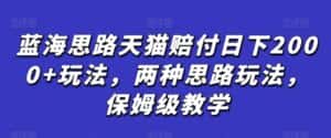 蓝海思路天猫赔付日下2000+玩法,两种思路玩法,保姆级教学【仅揭秘】-优优云创网