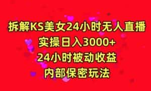 利用快手24小时无人美女直播,实操日入3000,24小时被动收益,内部保密玩法-优优云创网