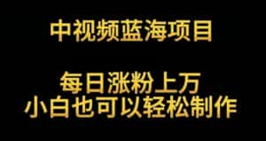 中视频蓝海项目,解读英雄人物生平,每日涨粉上万,小白也可以轻松制作,月入过万不是梦-优优云创网