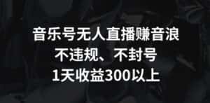 音乐号无人直播赚音浪,不违规、不封号,1天收益300+-优优云创网