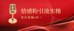 (9473期)单月变现6w+,情感粉引流变现实操课-优优云创网