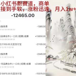 (9476期)小红书新赛道,商单接到手软,涨粉迅速,月入1w+-优优云创网