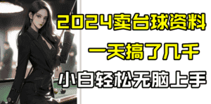 2024卖台球资料，一天搞了几千，小白轻松无脑上手-优优云创网