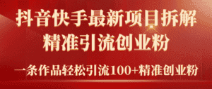 (9447期)2024年抖音快手最新项目拆解视频引流创业粉,一天轻松引流精准创业粉100+-优优云创网