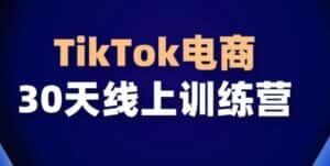 TikTok电商带货30天线上课,不可错过的全球流量洼地!-优优云创网