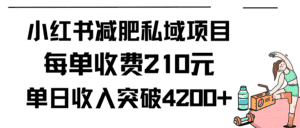 (9466期)小红书减肥私域项目每单收费210元单日成交20单,最高日入4200+-优优云创网
